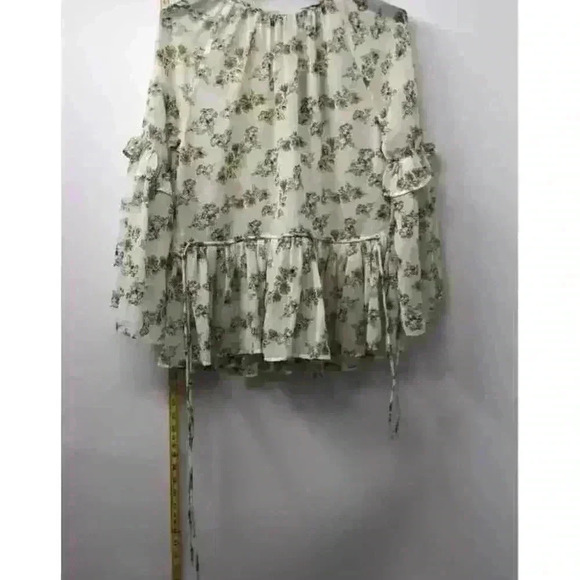 Walter Baker Women's L Green Floral Ruffle Chiffon Top Long Sleeve NWT Cottage - Picture 1 of 9